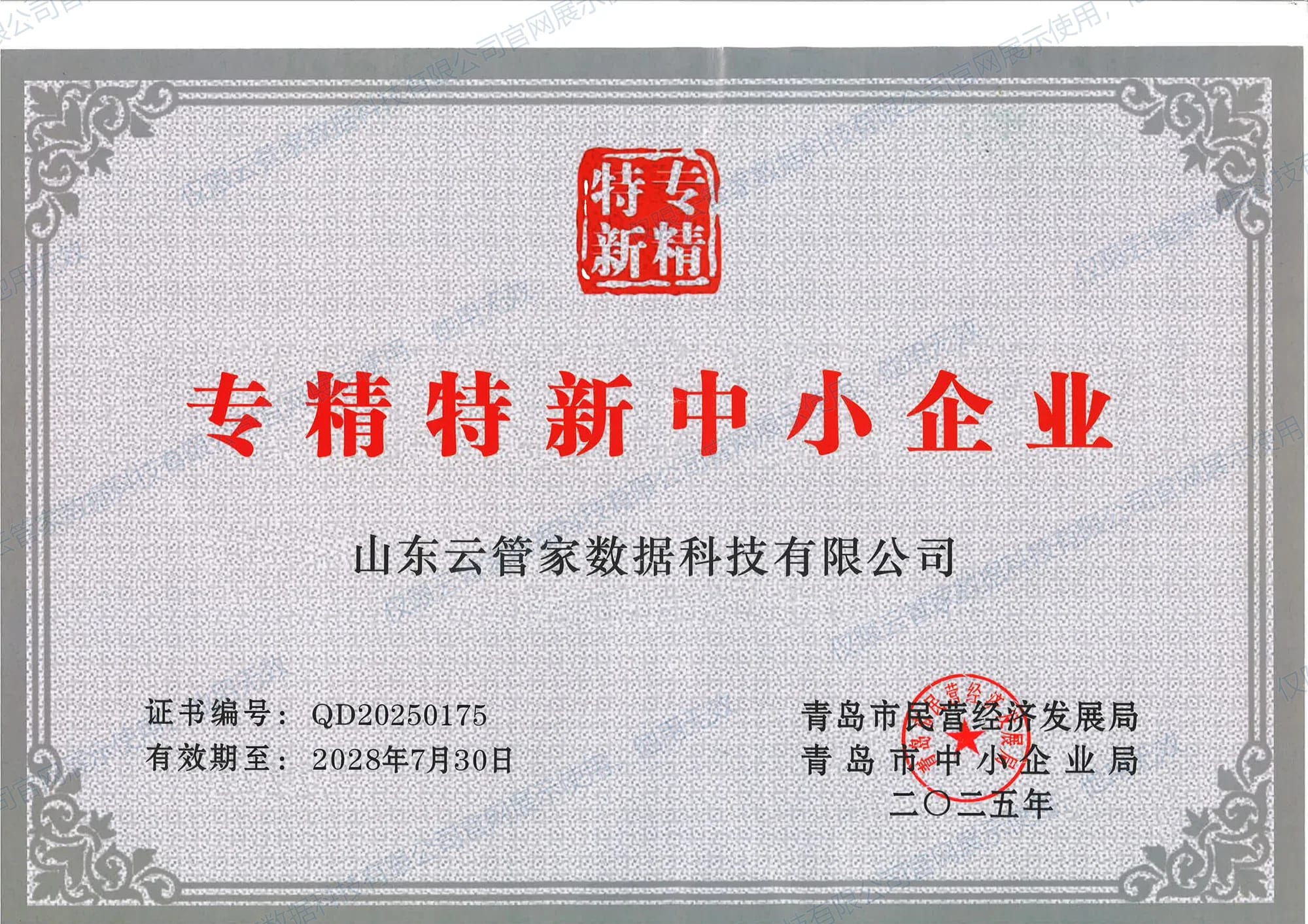 专精特新中小企业证书，青岛市民营经济发展局、青岛市中小企业局颁发